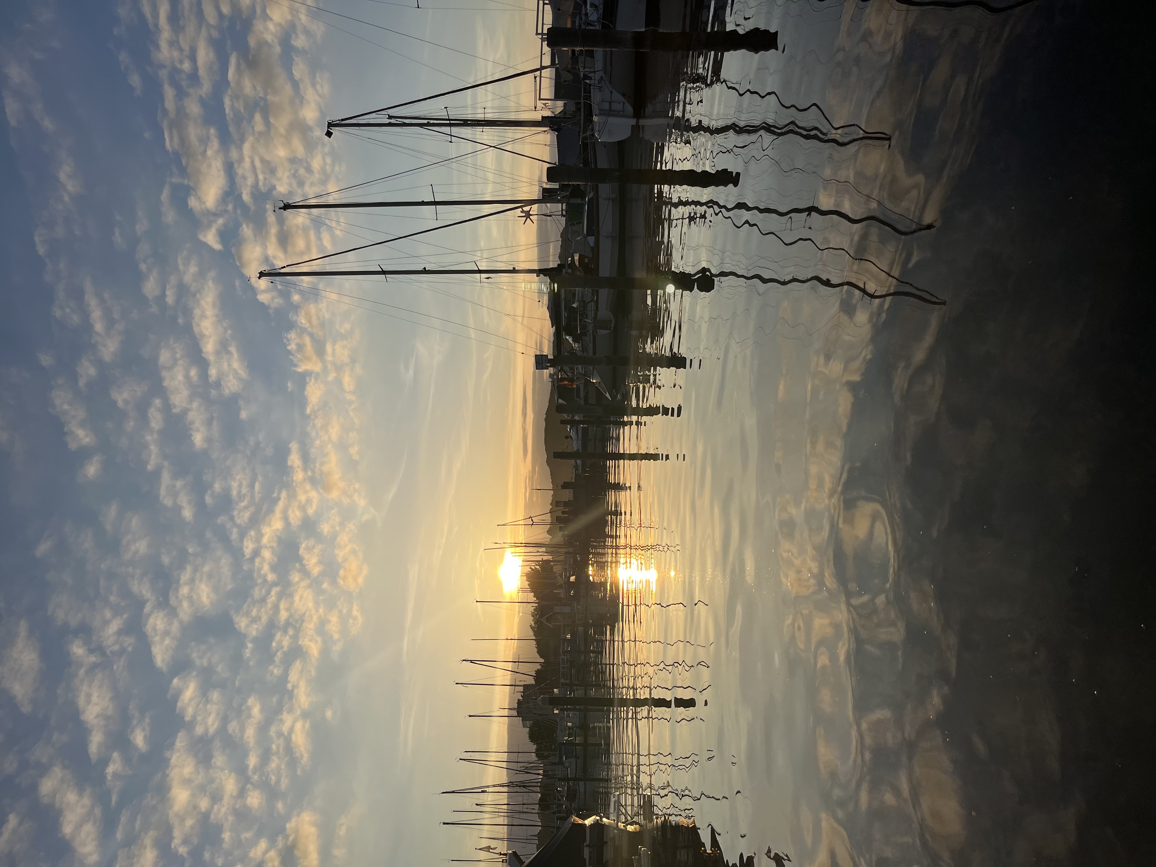 Blick auf den Hafen